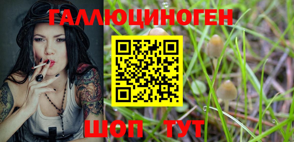 закладки  Псилоцибиновые грибы GOLDEN TEACHER  Вход с VPN  Пыть-Ях 